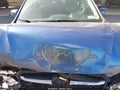 2016 Subaru Impreza — photo 10 of 17 | VIN JF1GJAB61GH014607