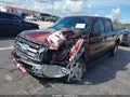 2009 Ford F-150 — photo 6 of 16 | VIN 1FTPW12V09KC72349