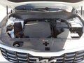 2025 Kia Telluride — photo 10 of 16 | VIN 5XYP6DGC3SG664360