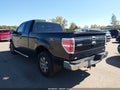 2013 Ford F-150 — photo 3 of 16 | VIN 1FTFX1EF0DFD14260