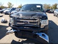 2013 Ford F-150 — photo 6 of 16 | VIN 1FTFX1EF0DFD14260