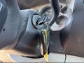 2011 Chevrolet Silverado 1500 — photo 11 of 11 | VIN 1GCRCSE02BZ329106