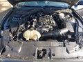 2023 Ford Mustang — photo 10 of 17 | VIN 1FA6P8THXP5102138