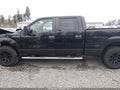 2012 Ford F-150 — photo 15 of 19 | VIN 1FTFW1EF4CFC84617