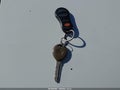 1999 Jeep Grand Cherokee — photo 11 of 11 | VIN 1J4GW58S6XC571026