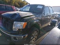 2013 Ford F-150 — photo 2 of 19 | VIN 1FTFW1EF4DFD24566