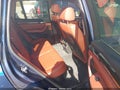 2014 BMW X3 — photo 8 of 11 | VIN 5UXWX9C58E0D32083