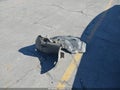 2022 Honda Civic — photo 12 of 17 | VIN 2HGFE1E57NH471072