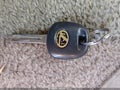 2003 Lexus RX 300 — photo 11 of 11 | VIN JTJGF10U130155566