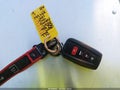 2021 Toyota Camry — photo 11 of 17 | VIN 4T1K61AK4MU458793