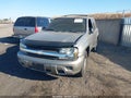 2002 Chevrolet Trailblazer — photo 2 of 10 | VIN 1GNDT13S622155131