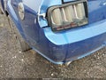 2007 Ford Mustang — photo 6 of 16 | VIN 1ZVFT82H975238510