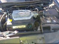 2009 Honda Accord — photo 10 of 19 | VIN 1HGCP36869A005459