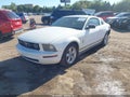2007 Ford Mustang — photo 2 of 18 | VIN 1ZVHT80N975215682