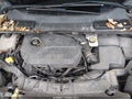 2014 Ford Escape — photo 10 of 11 | VIN 1FMCU0JX7EUA13059