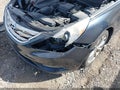 2013 Hyundai Sonata — photo 6 of 11 | VIN 5NPEC4AC4DH721198