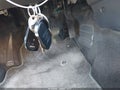 1996 Nissan Pathfinder — photo 11 of 11 | VIN JN8AR05SXTW026843
