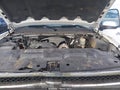 2009 Chevrolet Silverado 1500 — photo 10 of 17 | VIN 3GCEC23J09G190386