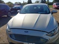 2019 Ford Fusion — photo 12 of 16 | VIN 3FA6P0LU6KR196801