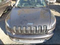 2016 Jeep Cherokee — photo 10 of 15 | VIN 1C4PJLDB5GW216488