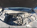 2010 Chevrolet Equinox — photo 10 of 17 | VIN 2CNFLNEWXA6288531