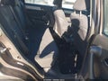 2011 Honda CR-V — photo 8 of 16 | VIN 5J6RE3H31BL005079