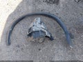 2024 Nissan Rogue — photo 18 of 19 | VIN JN8BT3BB7RW439064