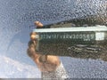 2024 Toyota RAV4 — photo 9 of 18 | VIN 2T3W1RFVXRW300569