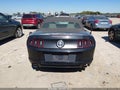 2014 Ford Mustang — photo 14 of 14 | VIN 1ZVBP8EM0E5281612