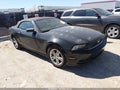 2014 Ford Mustang — photo 1 of 14 | VIN 1ZVBP8EM0E5281612