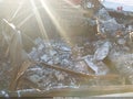 2025 Toyota RAV4 — photo 5 of 15 | VIN 2T3C1RFV8SC335475
