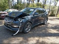 2017 Hyundai Santa Fe — photo 2 of 15 | VIN 5NMZUDLBXHH035558
