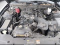 2011 Ford Mustang — photo 10 of 11 | VIN 1ZVBP8AM1B5155292