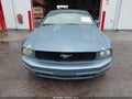 2007 Ford Mustang — photo 6 of 11 | VIN 1ZVFT80N975334730