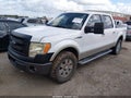 2010 Ford F-150 — photo 2 of 15 | VIN 1FTFW1EV4AFD73060