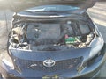 2010 Toyota Corolla — photo 10 of 16 | VIN 2T1BU4EE1AC491033