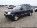 2004 Hyundai Santa Fe — photo 2 of 11 | VIN KM8SC13E24U600591