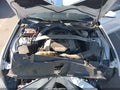 2015 Ford Mustang — photo 10 of 16 | VIN 1FA6P8CF0F5382388