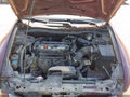 2008 Honda Accord — photo 10 of 11 | VIN 1HGCP25428A095801