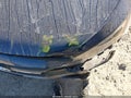 2020 Hyundai Elantra — photo 20 of 21 | VIN 5NPD84LF2LH593014