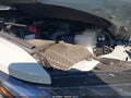 2024 Toyota Tundra — photo 12 of 20 | VIN 5TFNA5DB3RX201603
