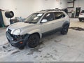2007 Hyundai Tucson — photo 2 of 16 | VIN KM8JN12D37U524401