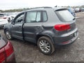 2017 Volkswagen Tiguan — photo 3 of 11 | VIN WVGBV7AX6HK042408