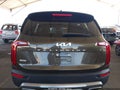 2022 Kia Telluride — photo 16 of 16 | VIN 5XYP3DHC1NG211561