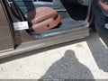 2014 Mercedes-Benz E-Class — photo 12 of 12 | VIN WDDHF5KB3EA892796