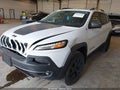 2016 Jeep Cherokee — photo 2 of 16 | VIN 1C4PJMBS1GW348723