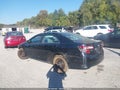 2013 Toyota Camry — photo 3 of 17 | VIN 4T4BF1FK6DR308389