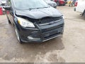 2014 Ford Escape — photo 12 of 17 | VIN 1FMCU0GX0EUA20832