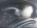 2022 BMW X3 — photo 16 of 17 | VIN 5UX43DP03N9K19445
