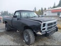 1993 Dodge W-Series — photo 6 of 18 | VIN 1B7KM26C5PS211283
